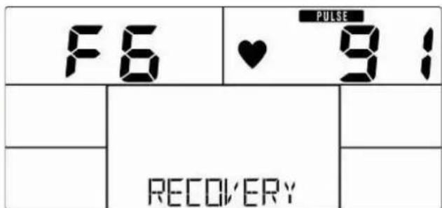Skandika Morpheus SF2950 - Recovery (Herzerholungsratenmessung) - 2