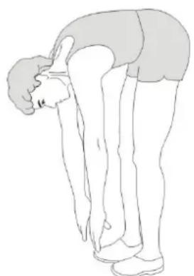 Skandika Morpheus SF2950 - STRETCHING - 2