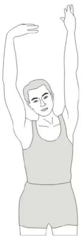 Skandika Morpheus SF2950 - STRETCHING - 1