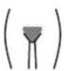 BRAUN Silkexpert Pro 5 PL5382 - Hoe de schaamstreek moet worden behandeld (alleen vrouwen) - 1