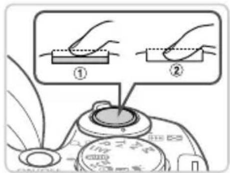 CANON PowerShot SX500 IS - Compose the shot. - 1