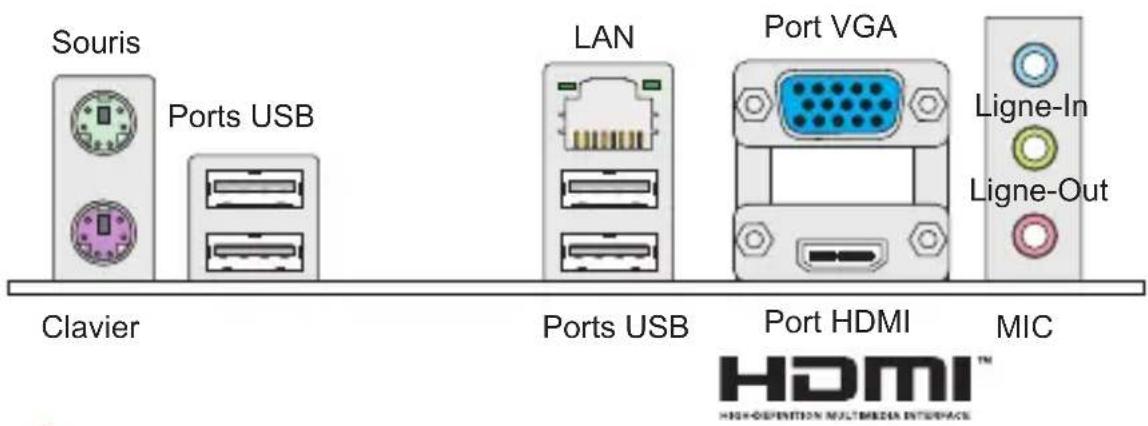 MSI H61IE35W8 - PANNEAU ARRIÈRE - 1