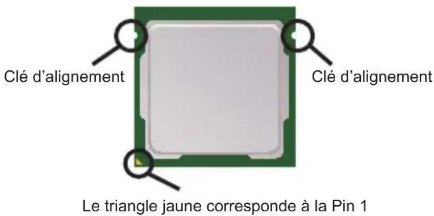 MSI H61IE35W8 - Introduction du LGA 1155 CPU - 1