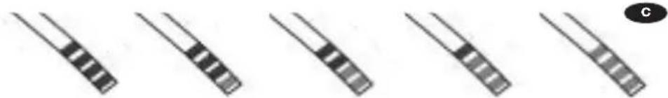 FAGOR LF073 IT - d - 4