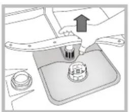 HOTPOINT LSP 733A X - Cleaning the sprayer arms - 2