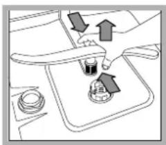 HOTPOINT LFZ 3384 A IX_HA - Limpar os braços aspersores - 2