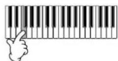 YAMAHA PSRA1000 - Enregistrement de mélodies — Step Record (Note) - 7