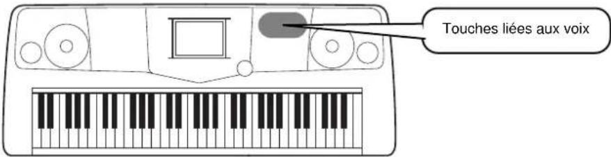 YAMAHA PSRA1000 - Reproduction de voix - 1
