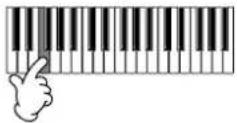 YAMAHA PSRA1000 - Enregistrement de mélodies — Step Record (Note) - 2