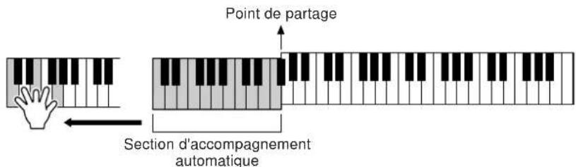 YAMAHA PSRA1000 - Sections de style - 2
