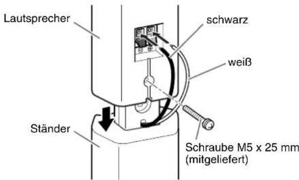 JVC THS7 - Vorbereitung - 3