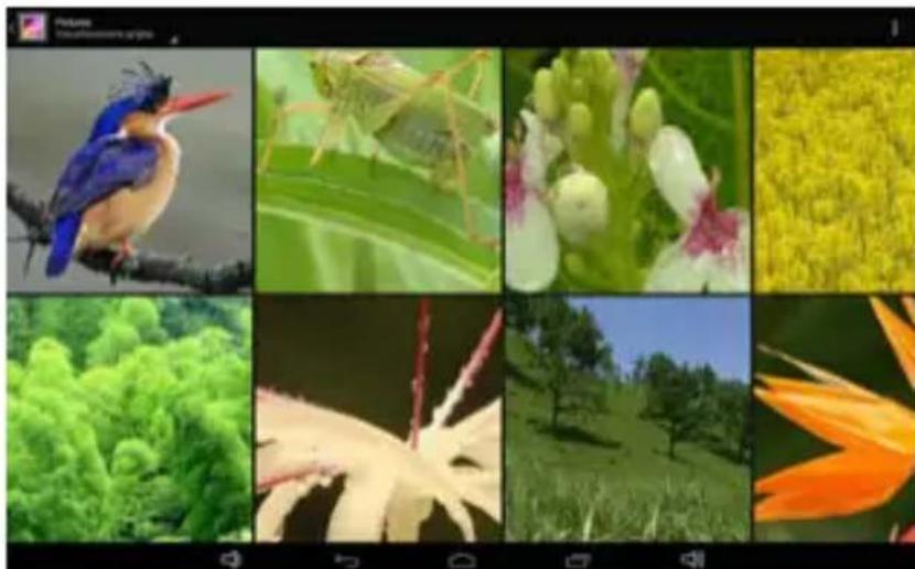 Trevi Mega 13.3 Q - Immagini - 1