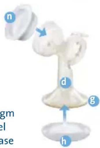 PHILIPS Avent SCF302 - Keeping your pump sterilised and compact for travel - 3