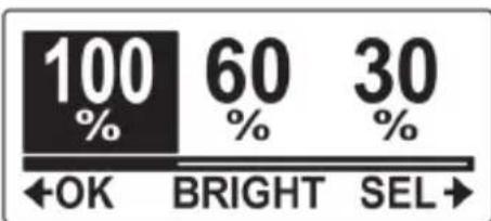 ENERGY SISTEM Sport Cam Pro - bRIGHTNESS - 2