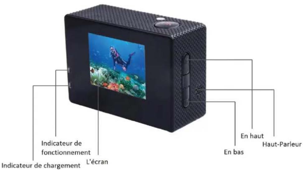 SALORA ProSport PSC1335HD - Annonces - 2