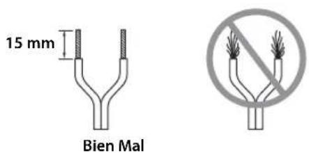 YAMAHA NSP51 - Preparar los cables del altovoz - 1