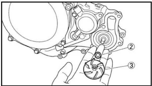 YAMAHA WR400F (1999) - OIL FILTER, WATER PUMP AND CRANKCASE COVER (RIGHT) - 3