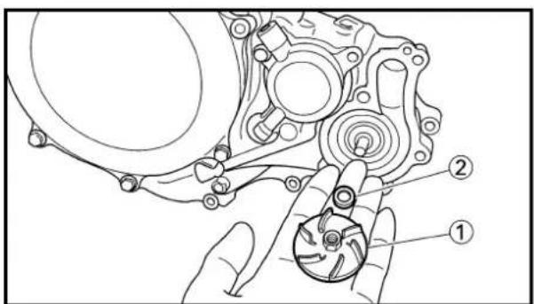 YAMAHA WR400F (1999) - OIL FILTER, WATER PUMP AND CRANKCASE COVER (RIGHT) - 3