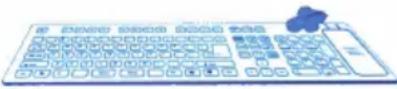 Seal Shield SSWKSV208ND - Protocoles de nettoyage recommandés - 2
