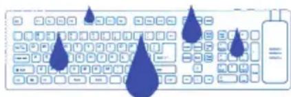 Seal Shield SSWKSV208BEFL - 4) Lavage au lave-vaiselles - 1