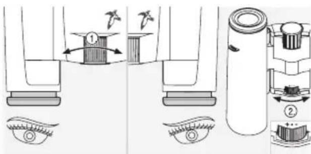Swarovski CL Pocket 10x25 B - Use with varying acuity of both eyes: - 1