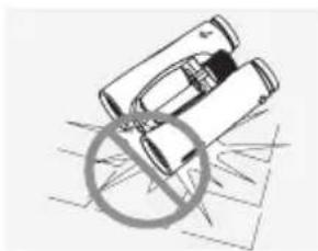Swarovski CL Pocket 10x25 B - POUR VOTRE SECURITE - 3