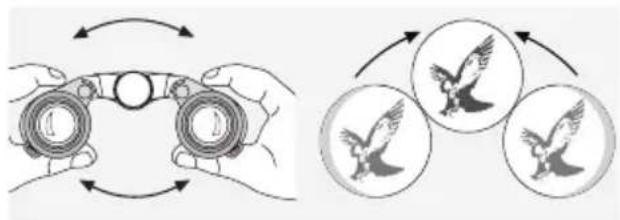 Swarovski CL Pocket 10x25 B - ADJUSTMENT OF INTERPUPILLARY DISTANCE - 1