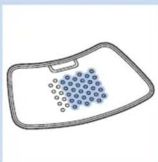 PHILIPS PR3733 - Positioning the upper back strap - 5