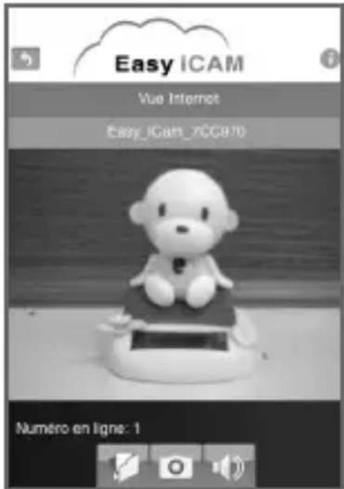 SWITEL BSW120 - Vue Internet pour iPhone/iPad - 3