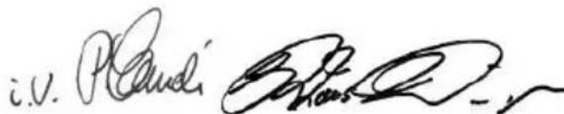 Flex BSE 143 100 Set - Declaration of Conformity - 1