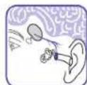 BRAUN ThermoScan 7 IRT 6520 - Why measure in the ear? - 1