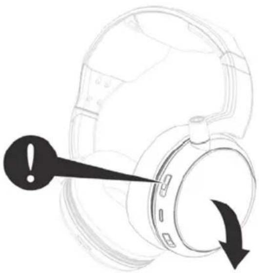 Amplicom HS 1300 - Empfänger - 1