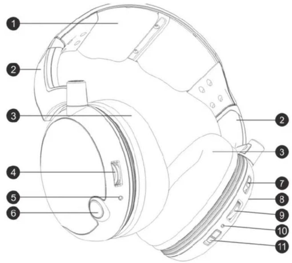 Amplicom HS 1300 - 1