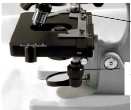 CELESTRON 44102 - Viewing a Specimen - 1