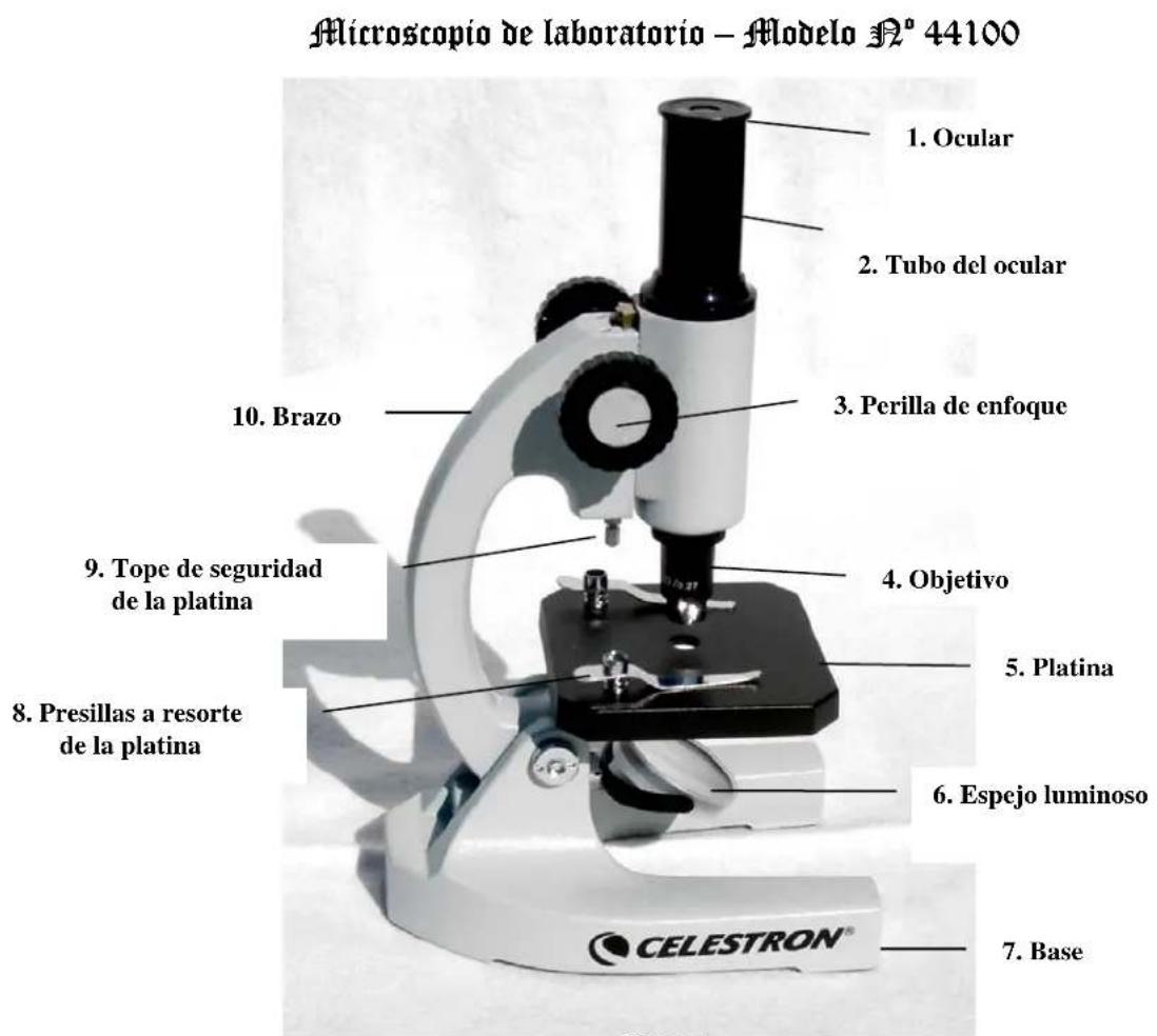 CELESTRON 44102 - Introduccion - 1