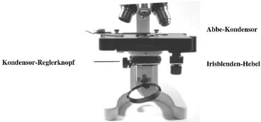 CELESTRON 44102 - Objekttisch-Halteklemme - 1