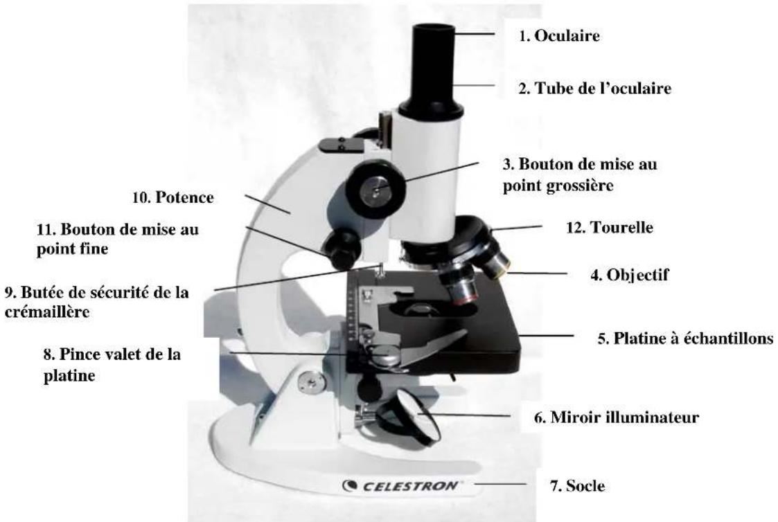 CELESTRON 44102 - Mise au point - 1