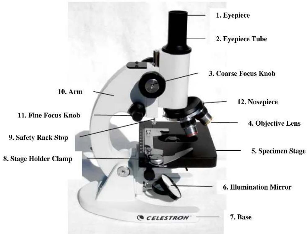 CELESTRON 44102 - Focusing - 1