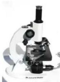 CELESTRON 44102 - Utilisation de l'illuminateur électrique - 4