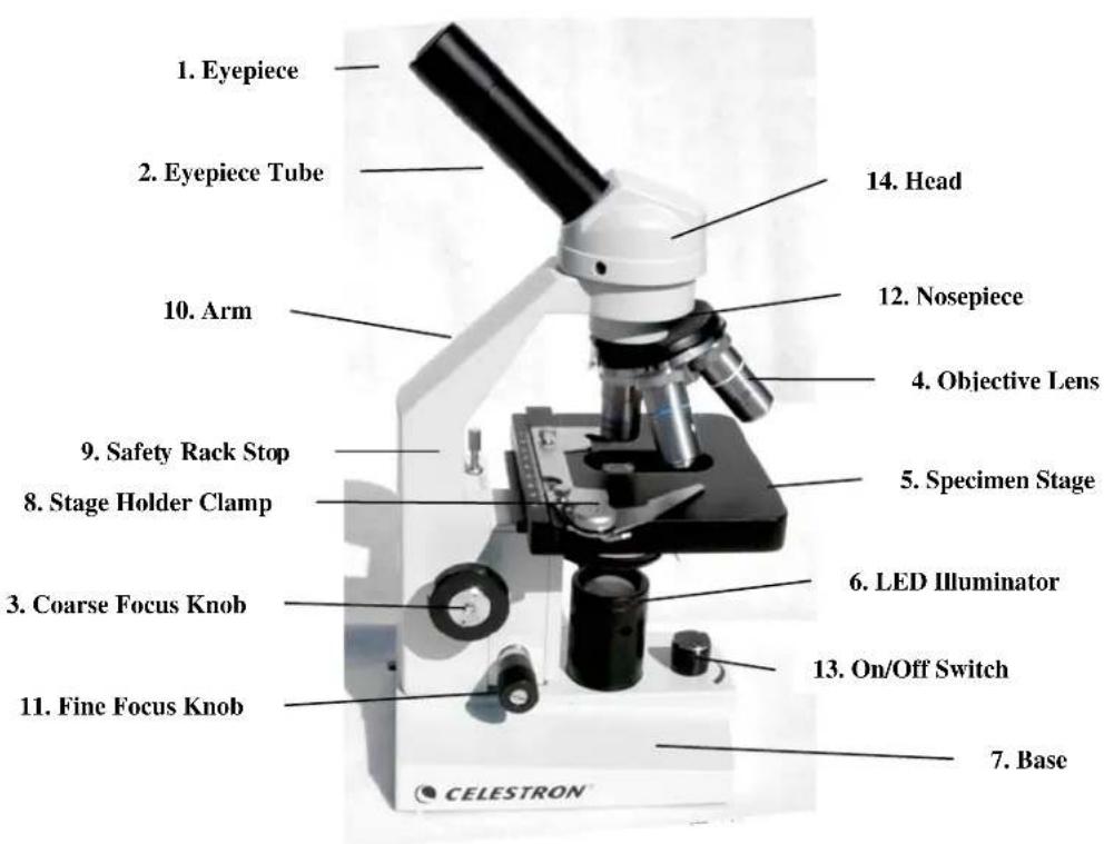 CELESTRON 44102 - Replacing the Electric Illuminator Bulb - 2