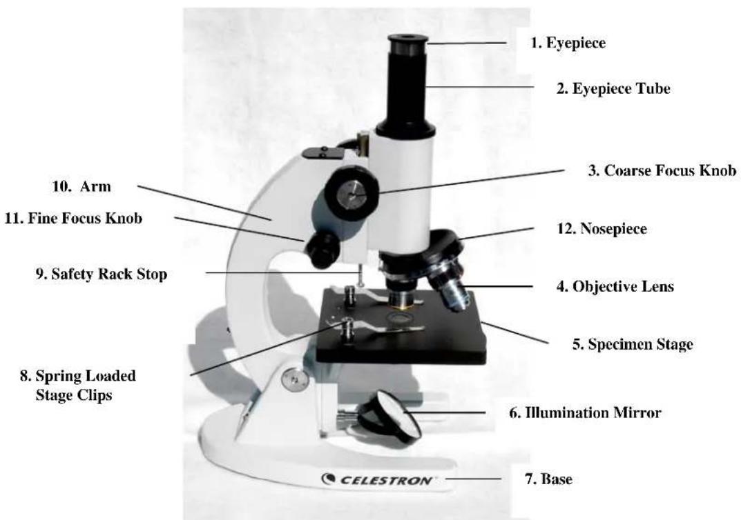 CELESTRON 44102 - Viewing a Specimen - 1