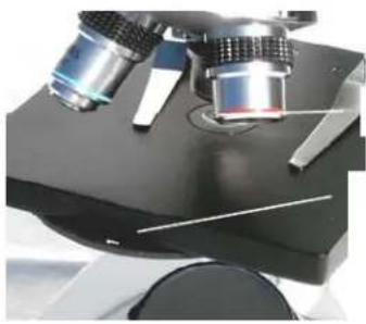 CELESTRON 44102 - Réglage de l'angle de la potentie - 1