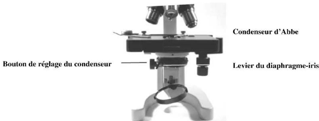 CELESTRON 44102 - Observation d'un échantillon - 2