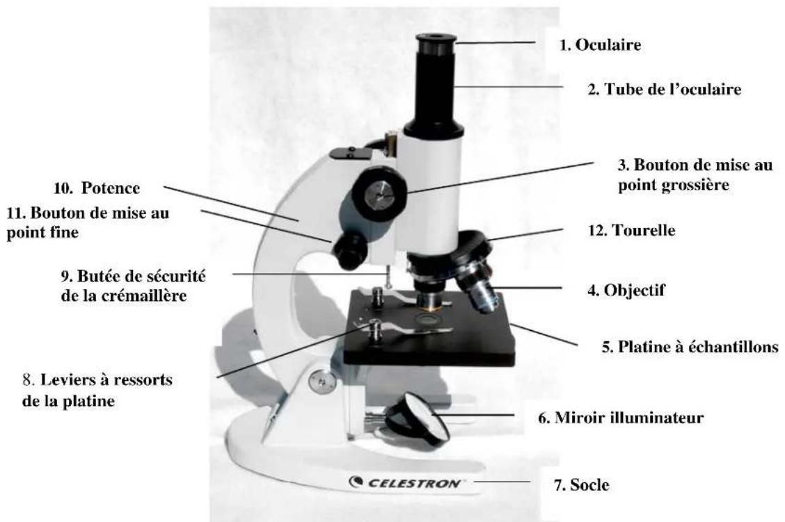 CELESTRON 44102 - Observation d'un échantillon - 1