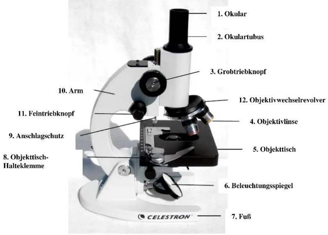CELESTRON 44102 - Fokussierung - 1