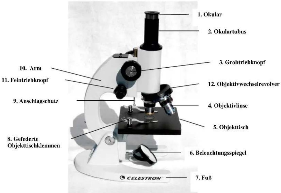 CELESTRON 44102 - Betrachtung einer Probe - 1