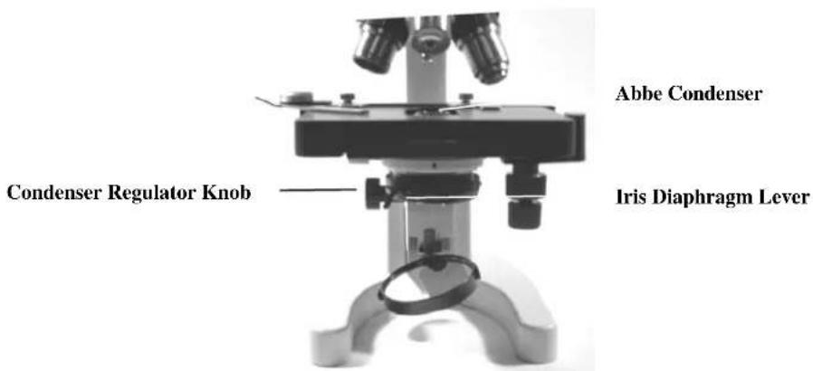 CELESTRON 44102 - Stage Holder Clamp - 1