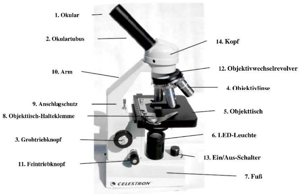 CELESTRON 44102 - Ersatz der Lampe der elektrischen Beleuchtung - 2