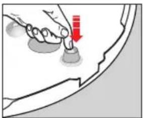 WMF 1010.2500.11 - Replacing the overpressure valve - 1