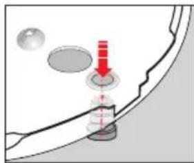 WMF 21.2927.3790 - Declarations of conformity for commodities that come into contact with food - 6